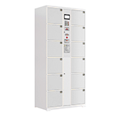 Electronic Storage Locker